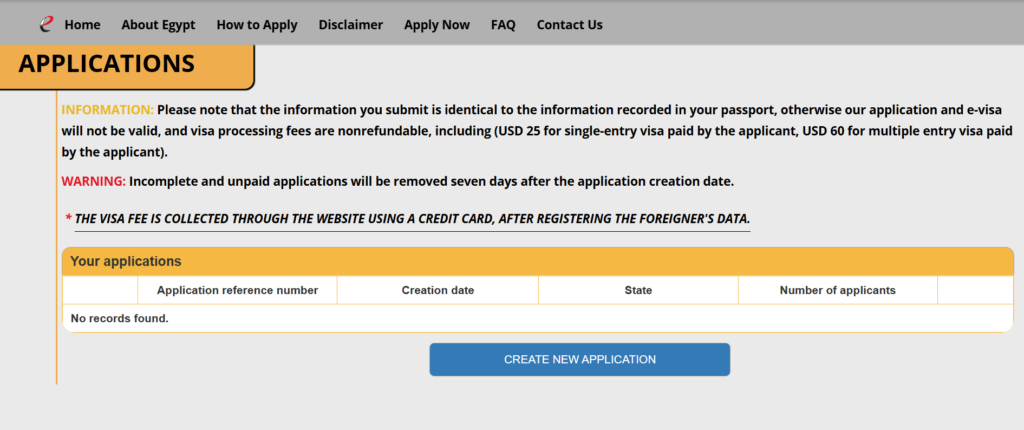 エジプトビザ　申請画面