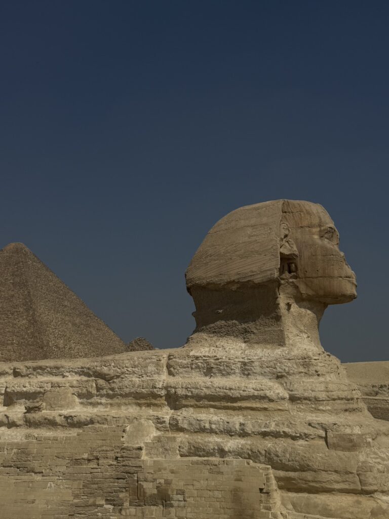 スフィンクス　横